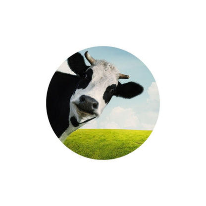 SCCIRCLE002 Medium Printed Rigid Circle Board, Poster, Sign Cardboard Cut Out Height 58cm