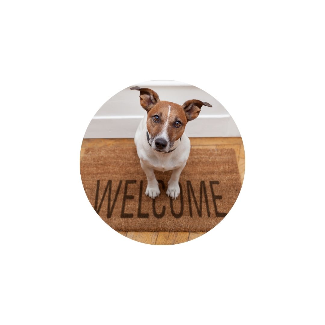 SCCIRCOR1DS - Small Printed Rigid Circle Correx Board, Poster, Sign, Double Sided Cardboard Cut Out Height 38cm