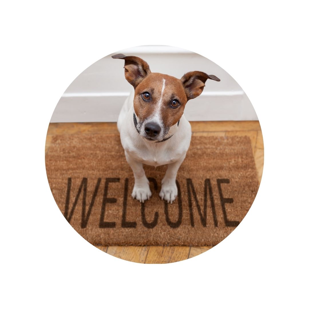 SCCIRCOR3DS- Large Printed Rigid Circle Correx Board, Poster, Sign Double Sided Cardboard Cut Out Height 78cm