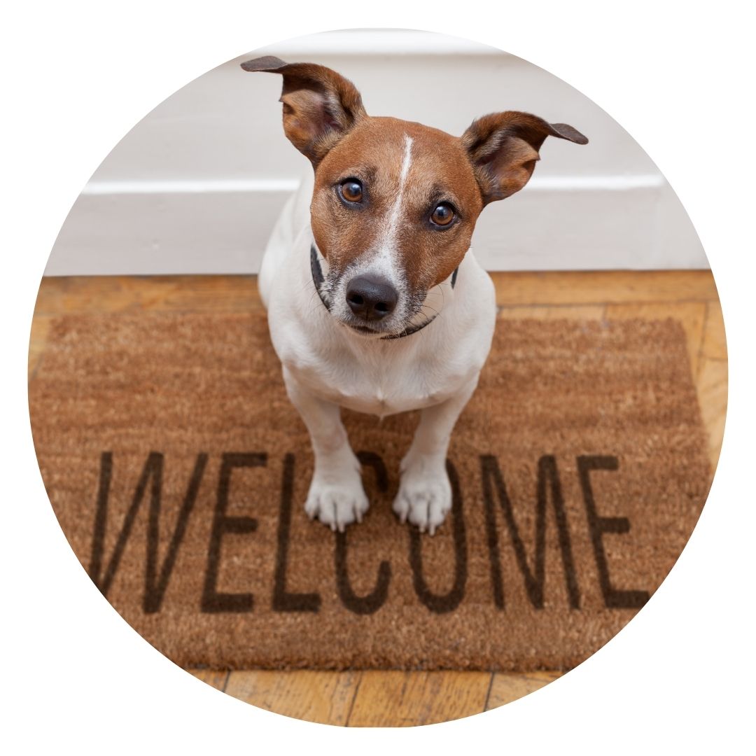 SCCIRCOR4DS Extra Large Printed Rigid Circle Correx Board, Poster, Sign Double Sided Cardboard Cut Out Height 96cm