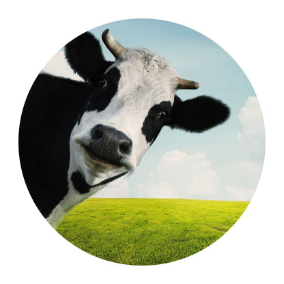 SCCIRCOR4 - Extra Large Printed Rigid Circle Correx Board, Poster, Sign Cardboard Cut Out Height 96cm