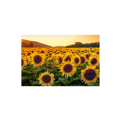 SCCORREX003 - A3 Small Printed Rigid Rectangle Board on Correx -  Poster, Sign Cardboard Cut Out Height 42cm