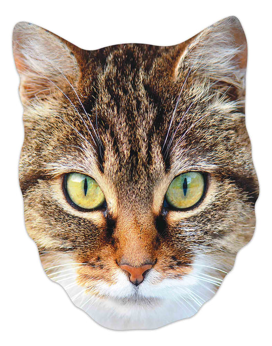 SM395 Cat Animal Single Face Mask