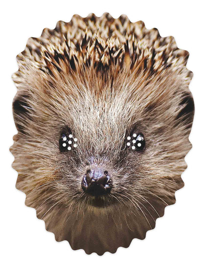 SM396 Hedgehog Animal Single Face Mask