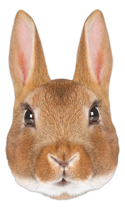 SM397 Rabbit Animal Single Face Mask