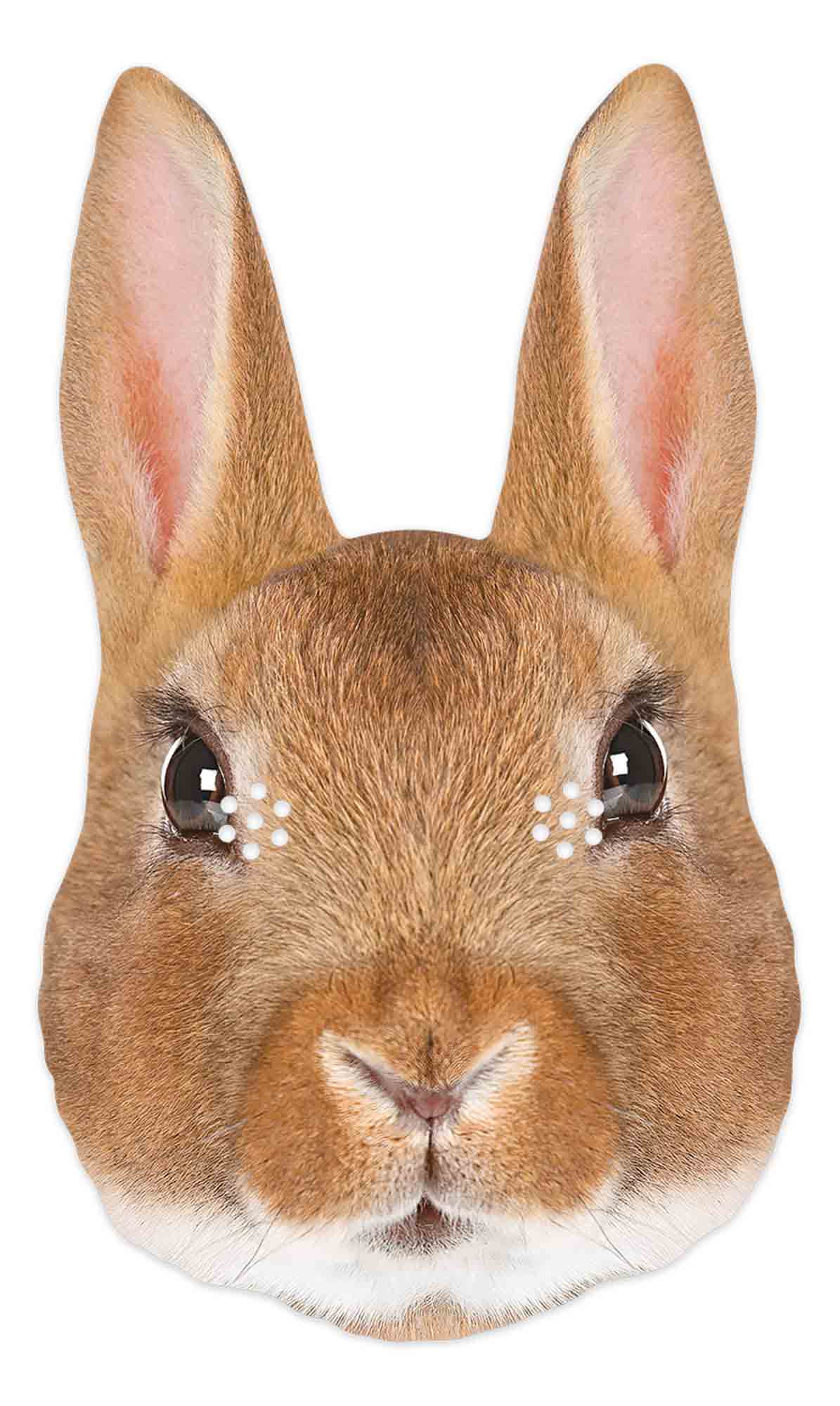 SM397 Rabbit Animal Single Face Mask – Star Cutouts