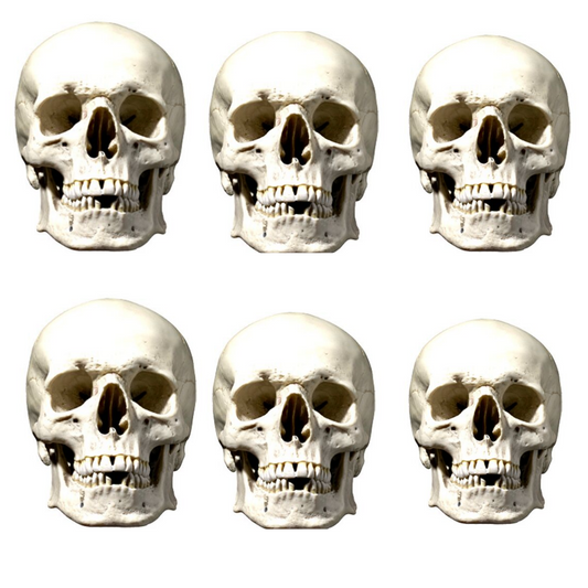 SMP147 Skull - Face   Halloween Six Pack Cardboard Face Masks With Tabs and Elastic