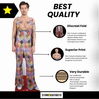 CS1088 Harry S Dungarees Height 185cm Lifesize Cardboard Cut Out With Mini