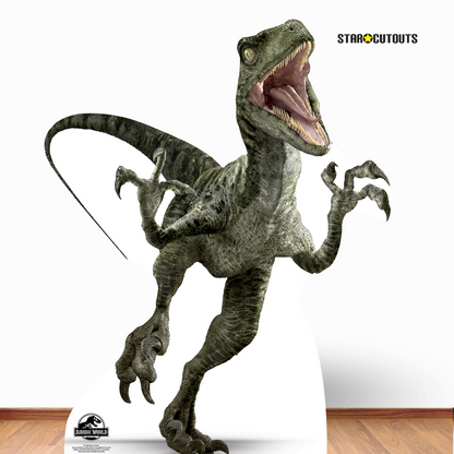 SC1288 Official Jurassic World Charlie (Raptor) Dinosaur Cardboard Cut Out Height 129cm