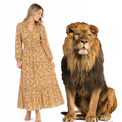 SC1438 Adult Male Lion Sitting Cardboard Cut Out Height 155cm