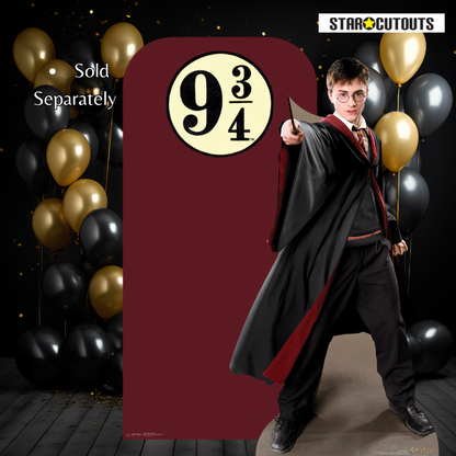 SC1478 Harry Potter Quidditch Captain Cardboard Cut Out Height 170cm
