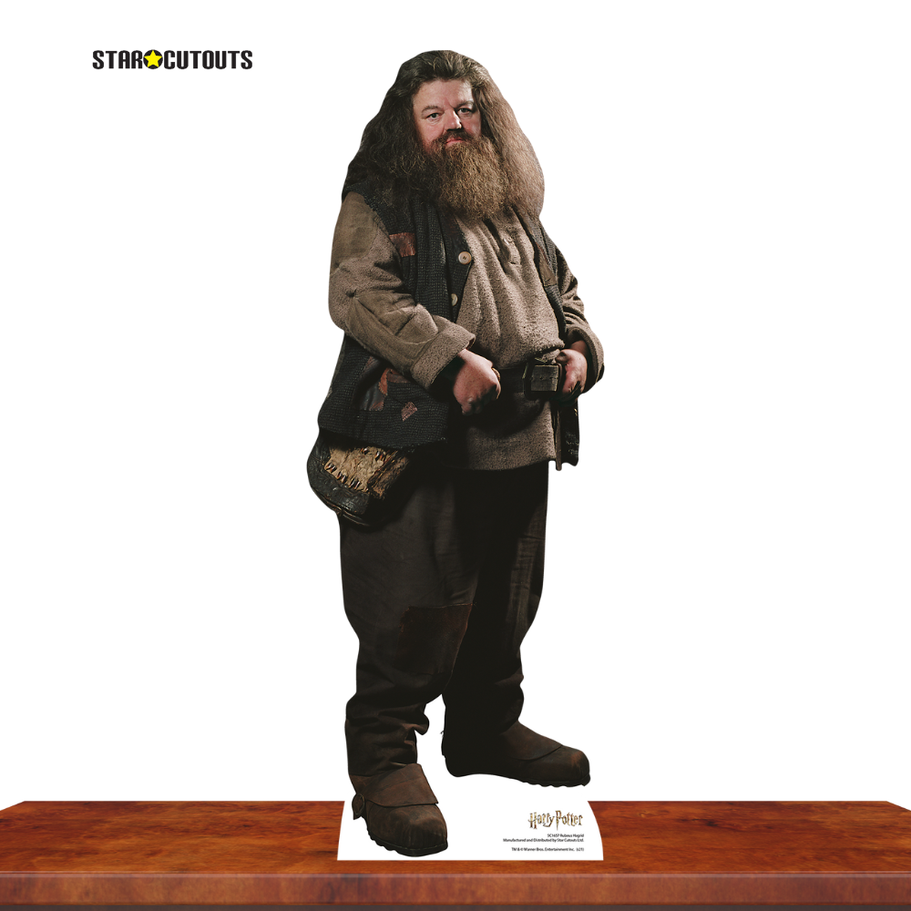 SC1964 Hagrid Star Mini Cardboard Cut Out Height 91cm