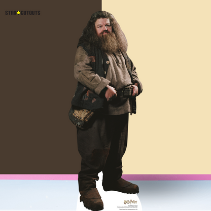 SC1964 Hagrid Star Mini Cardboard Cut Out Height 91cm