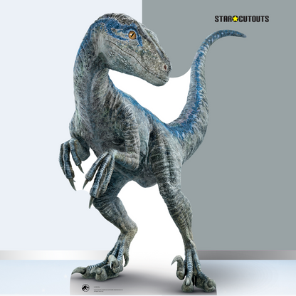 SC4080 Mother Blue - Raptor Jurassic World Dominion Cardboard Cut Out Height 135cm