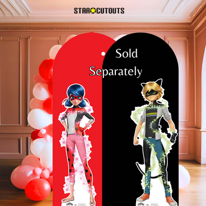 SC4228 Cat Noir Transformation Star Mini Cardboard Cut Out Height 95cm