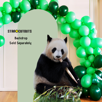 SC4593 Giant Panda Eating Cardboard Cut Out Height 124cm