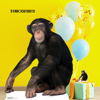 SC4594 Chimpanzee Cardboard Cut Out Height 91cm