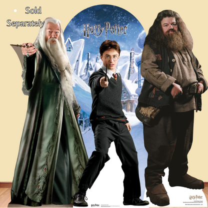 SC643 Hagrid Cardboard Cut Out Height 195cm