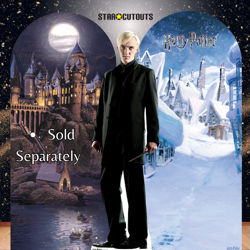 SC644 Draco Malfoy Cardboard Cut Out Height 178cm – Star Cutouts
