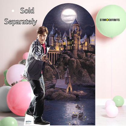 SC670 Harry Potter Cardboard Cut Out Height 174cm