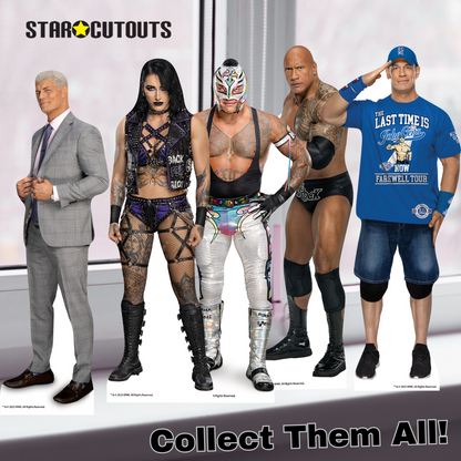 WWE Shelf Top Cardboard Cutouts The Rock, John Cena, Cody Rhodes, Rhea Ripley and Rey Mysterio Set Up
