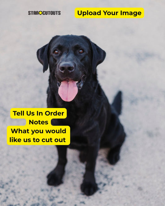 SCCUST3 Custom Cardboard Cut Out Pets/Small Children Maximum Height 90cm