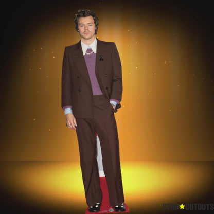 CS836 Harry Styles Height 183cm Lifesize Cardboard Cut Out With Mini