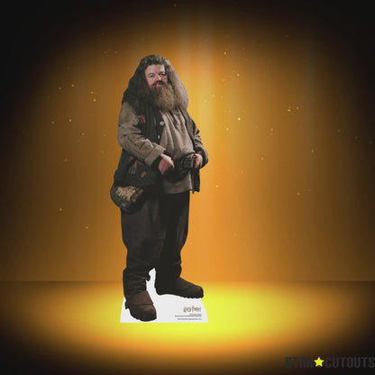 SC1964 Hagrid Star Mini Cardboard Cut Out Height 91cm
