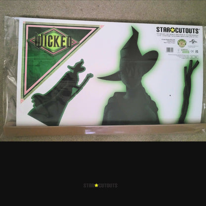 SC4653 Wicked Elphaba Witch Green & Black Silhouette Cardboard Cut Out Height 163cm