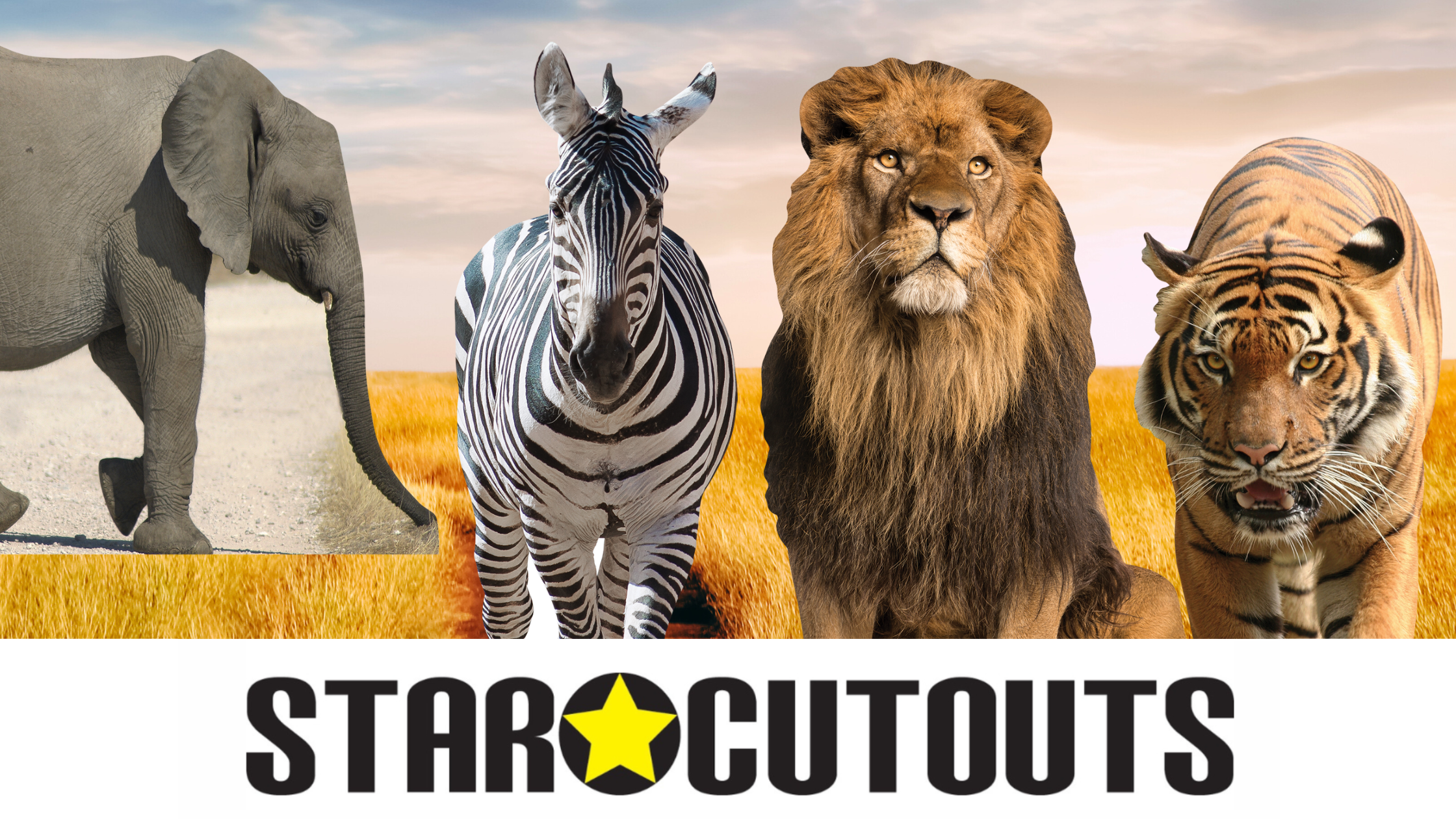 Load video: Video showing different cardboard cutout anaimals