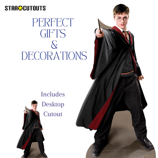 SC1478 Harry Potter Quidditch Captain Cardboard Cut Out Height 170cm