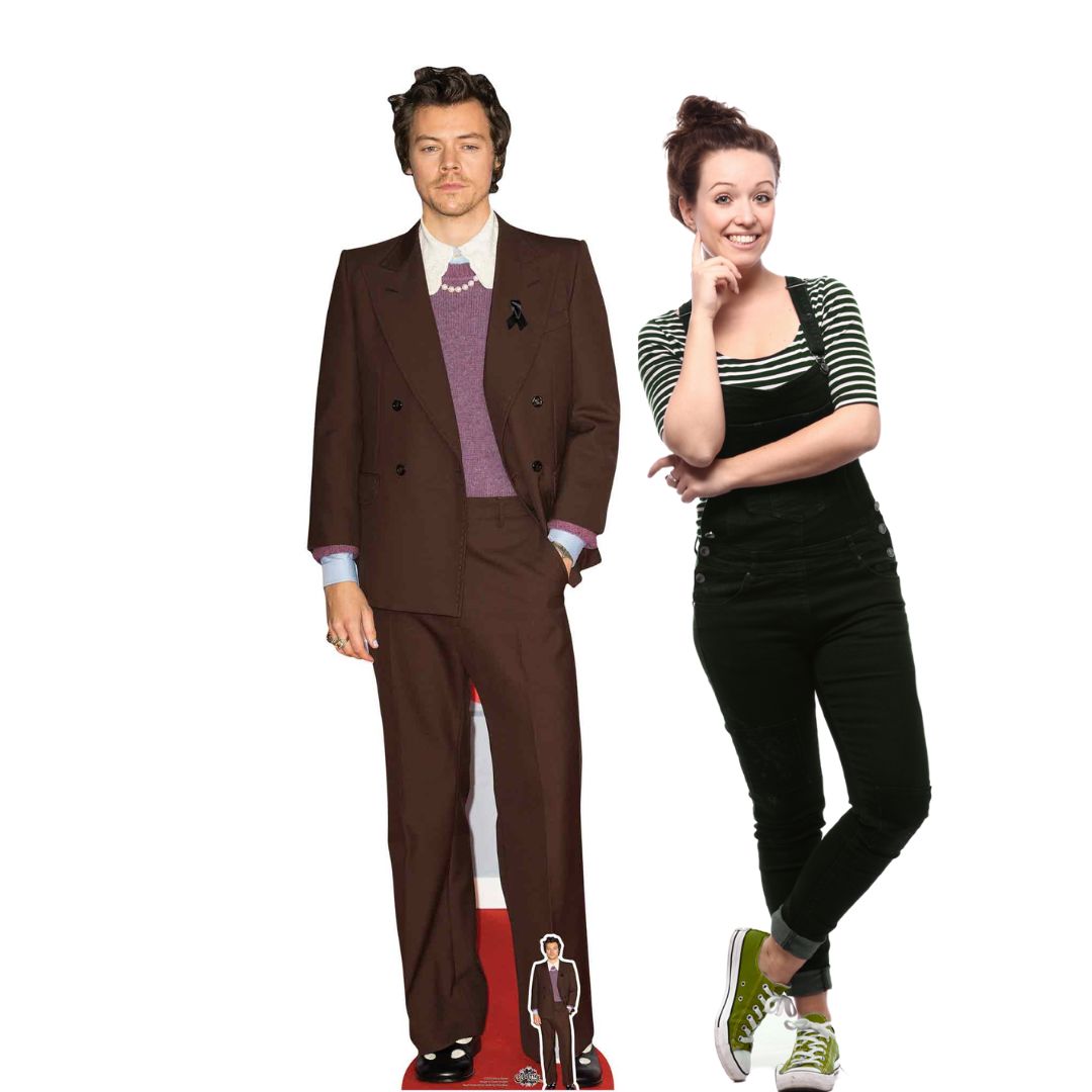 Harry Styles life size cardboard cutout for party display