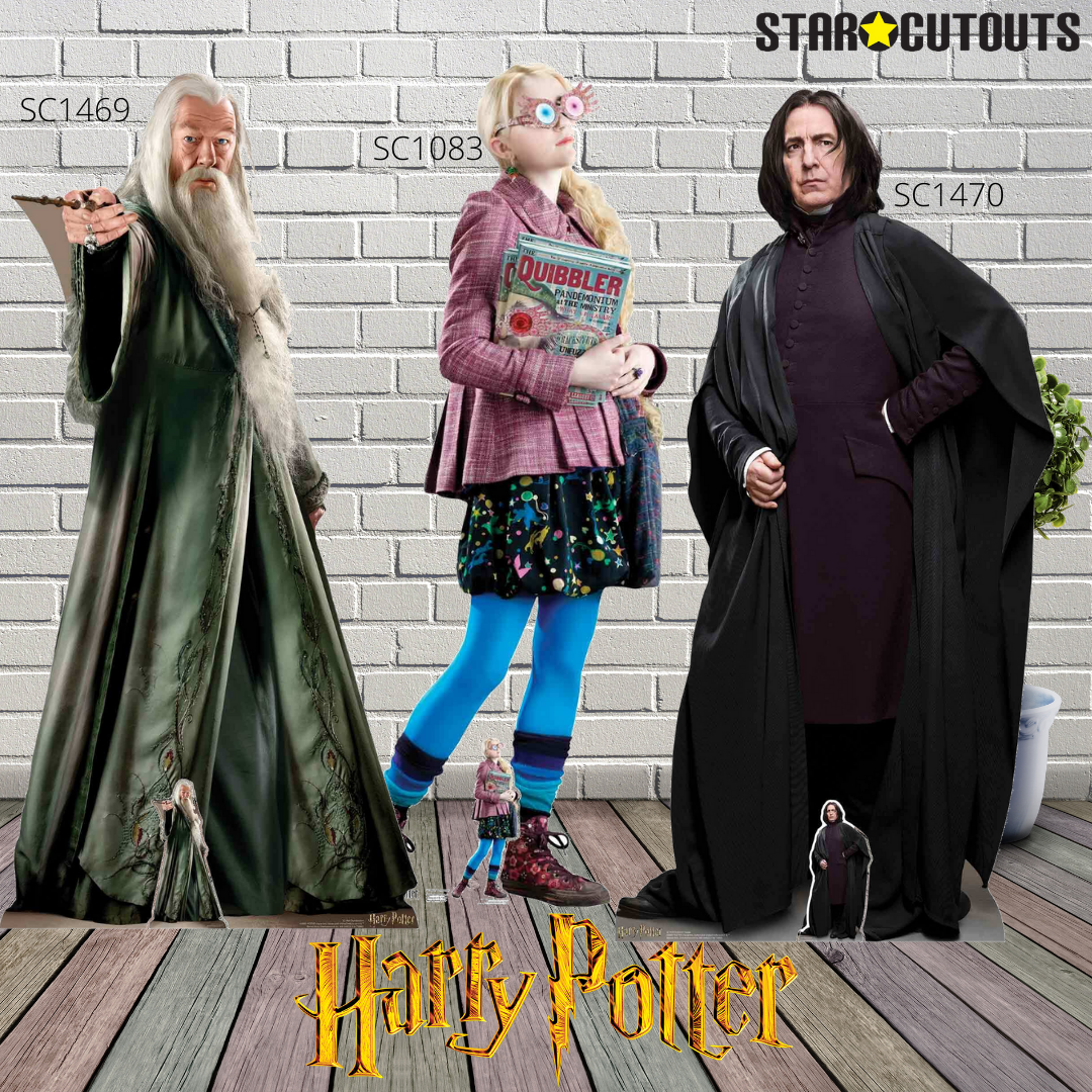 SC1478 Harry Potter Quidditch Captain Cardboard Cut Out Height 170cm