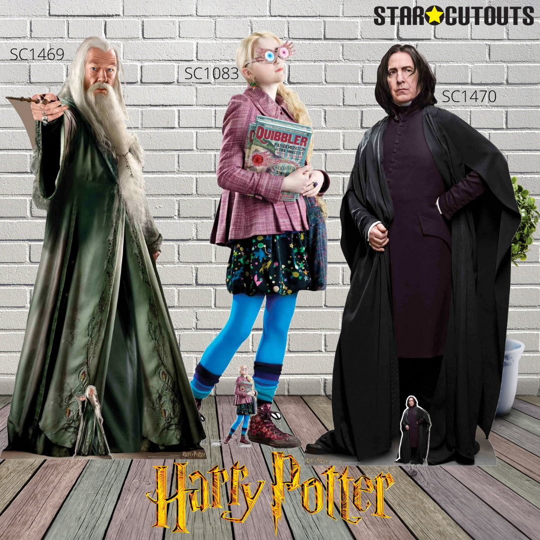 SC1958 Harry Potter Star Mini Cardboard Cut Out Height 92cm
