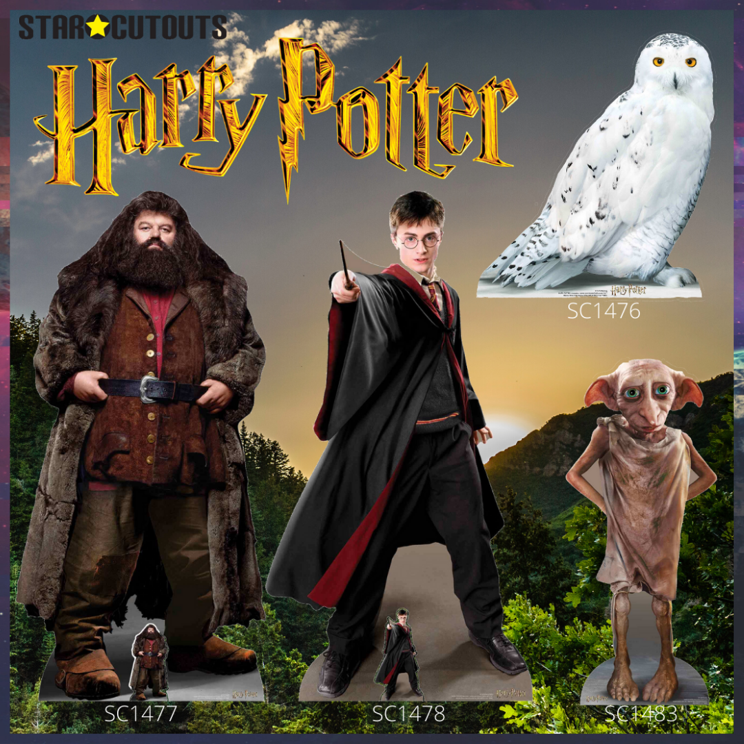 SC670 Harry Potter Cardboard Cut Out Height 174cm