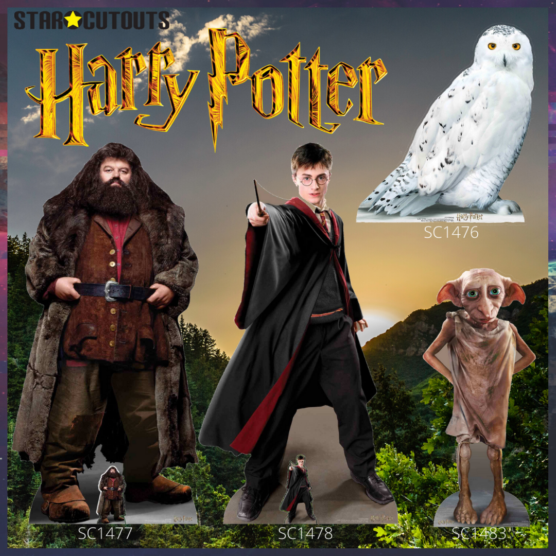 SC4235 Hermione Granger Anime Style Cardboard Cut Out Height 167cm